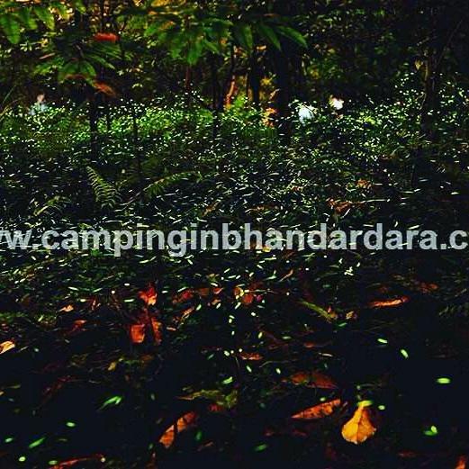 Hotel Samadhan Bhandardara Eksteriør billede